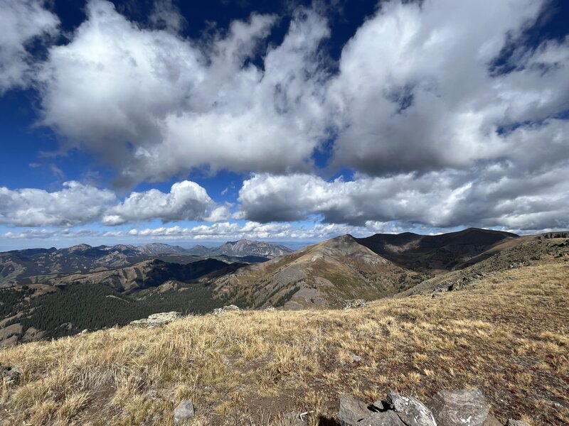 West-facing view of the West Elks.