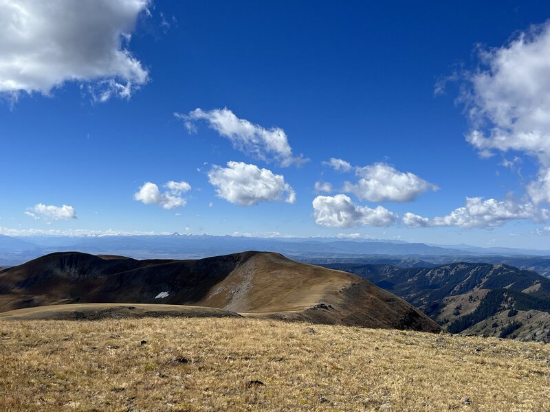 North Baldy Summit view looking south along the ridge.