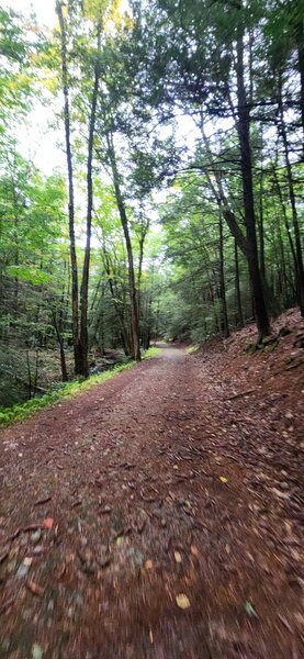 Hikin' the Turnpike Trail.