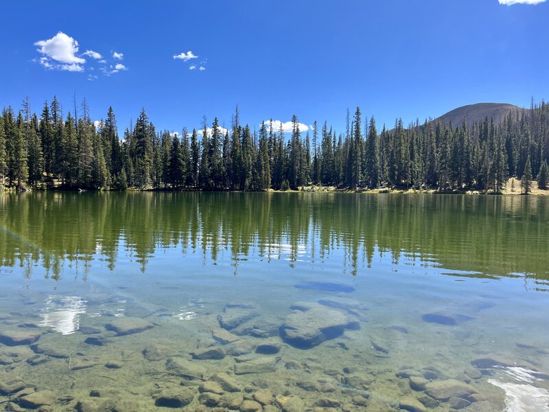 Mill Lake as seen from the NE side.