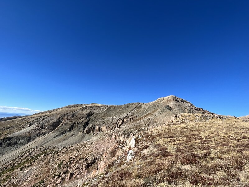 The ridge before Fossil Mountain summit.