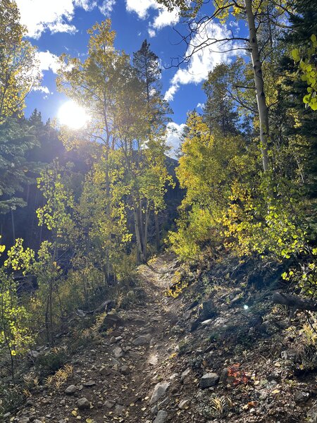 Fossil Ridge Trail to Boulder Lake.