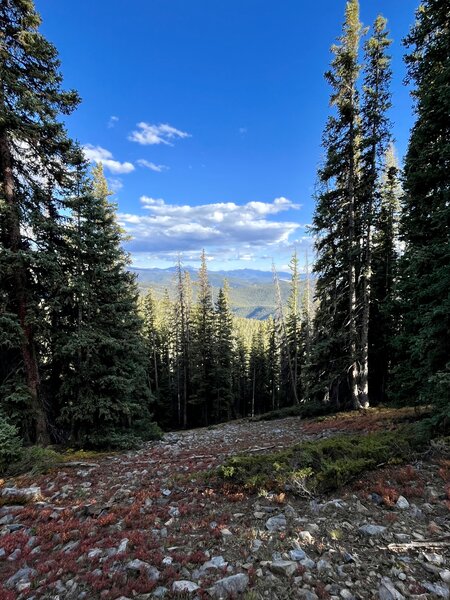 Great view looking northwest from the trail.