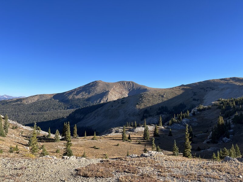 Northern hills and meadows.