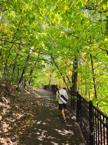 On the Winchell past some of the newer railings.