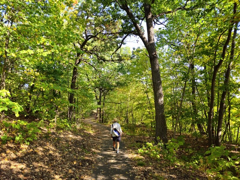 Along the Winchell Trail.