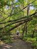 The Winchell Trail along the river's flood plain.