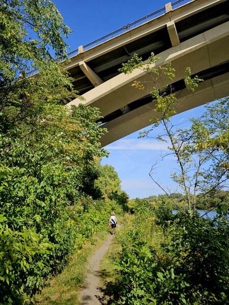 Going under the Lake Street Bridge.