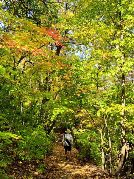 The Winchell Trail north of the Short Line Bridge.