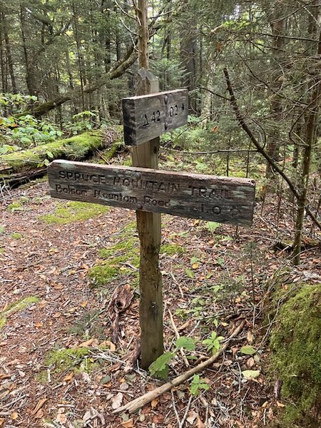 Campsite 42 signpost.