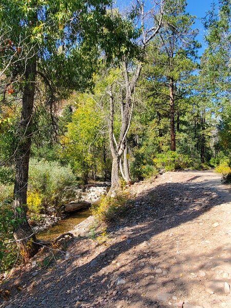 Junction Creek