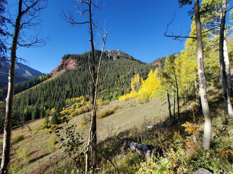 Emerging from the forest and burn scar on a fall day.