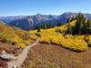 Down valley with late September scrub oak turning yellow.