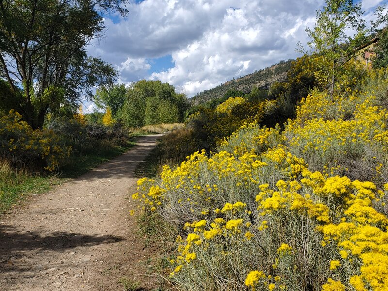 Looking south near the parking lot for Oxbow Park.