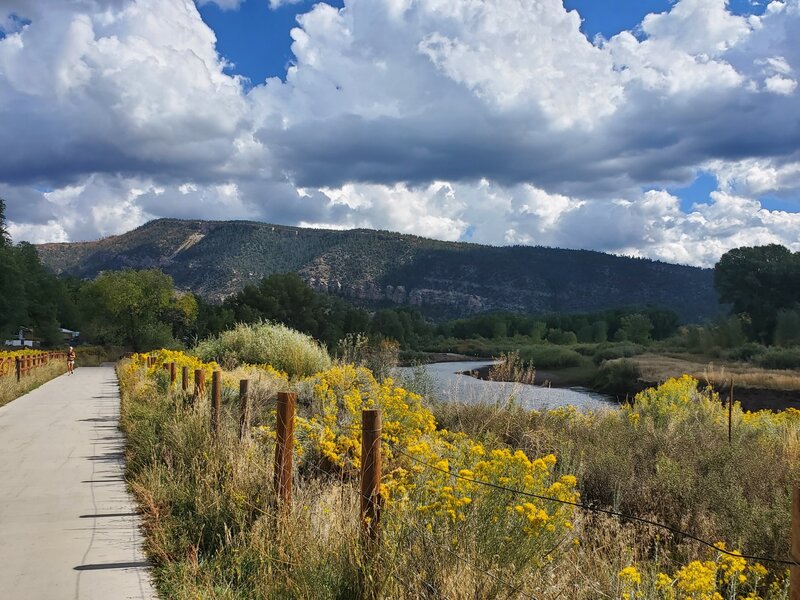 Looking north along the Animas River.