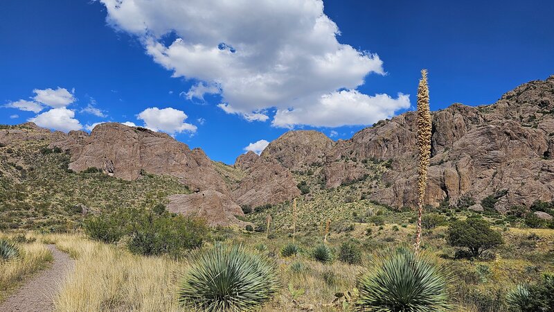 Soledad Canyon