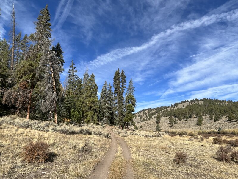 Sagebrush ecosystem at the start of the trail.