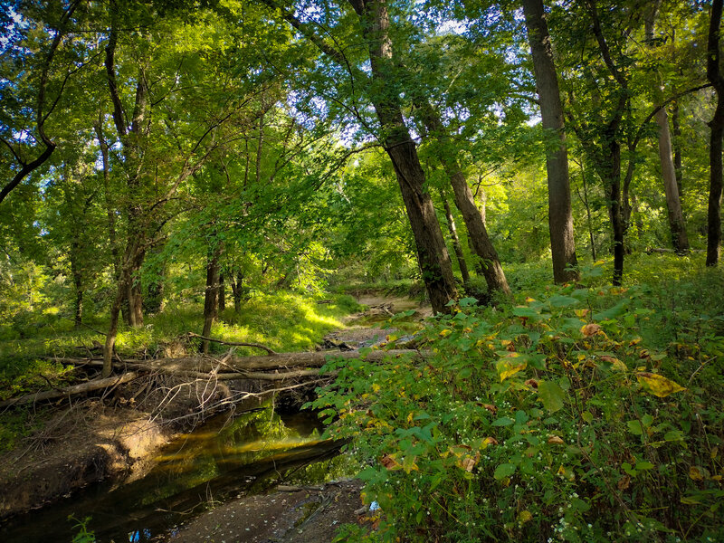 Schneck Trail