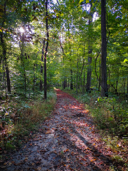 Schneck Trail