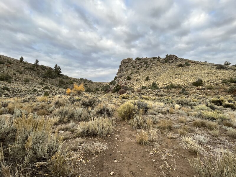 Starting out on the Beaver Creek Trail.