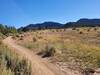 At the edge of the mesa, looking up at Pautsky Point.