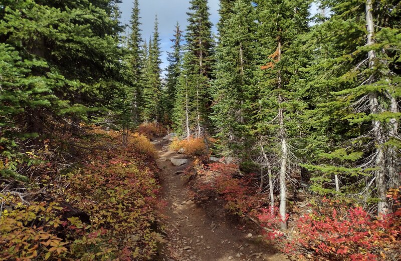 Beautiful fall colors, as we head out to visit Roman Nose Lakes.