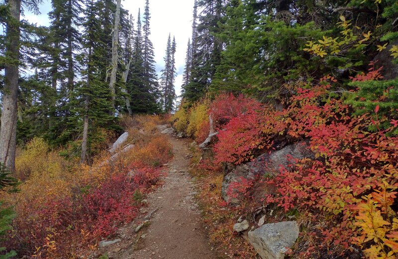 Fall foliage overwhelmingly dazzles along the Roman Nose Lakes trails.