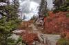 Climbing high among the dark green subalpine firs and bright reds of early October, on the Roman Nose Lakes scenic loop.