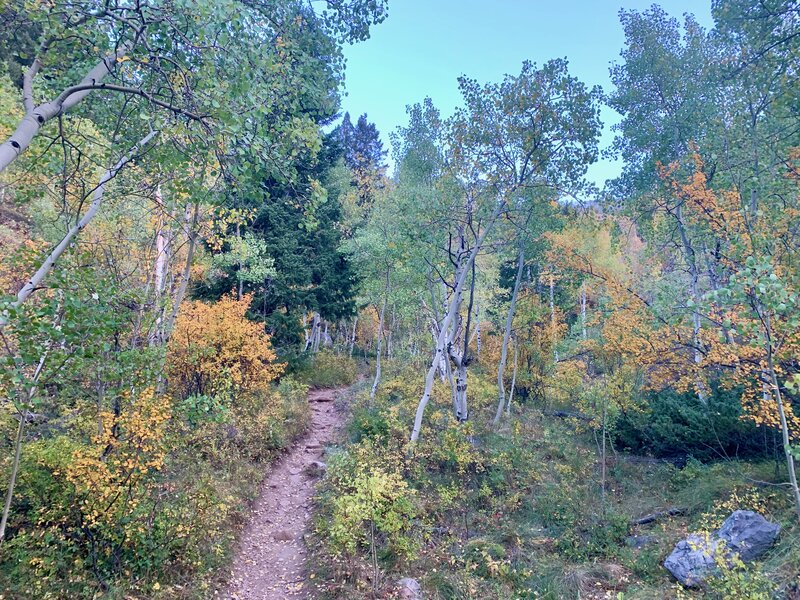 Starting out on the Caves Trail.