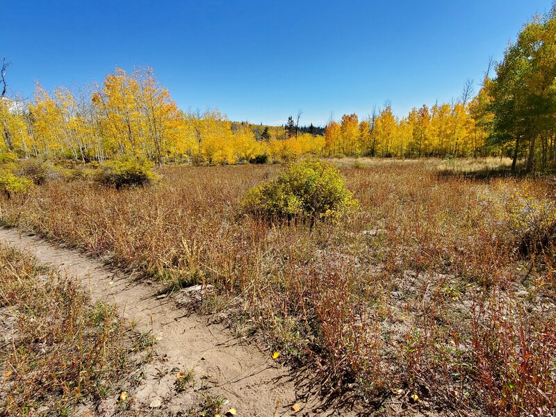 One of several meadows along the ridge.