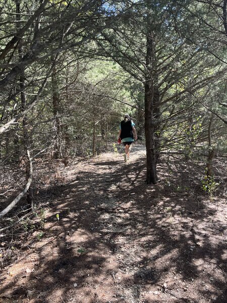 Walking along the curvy trails.