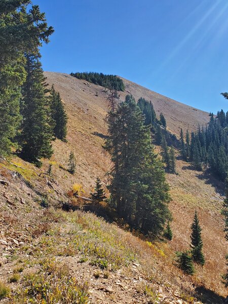 Looking up the ridgeline to Deadwood Mountain from the end of the Neptune OHV Trail.