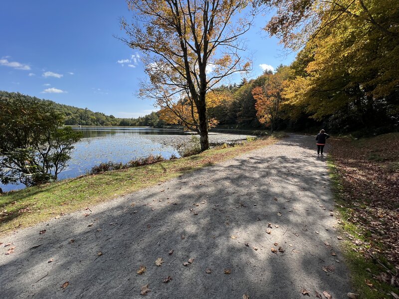 Start of the trail near parking lot.