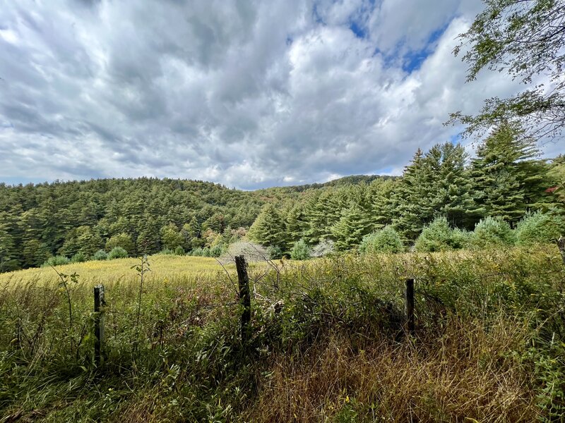 Scenic view from trail.