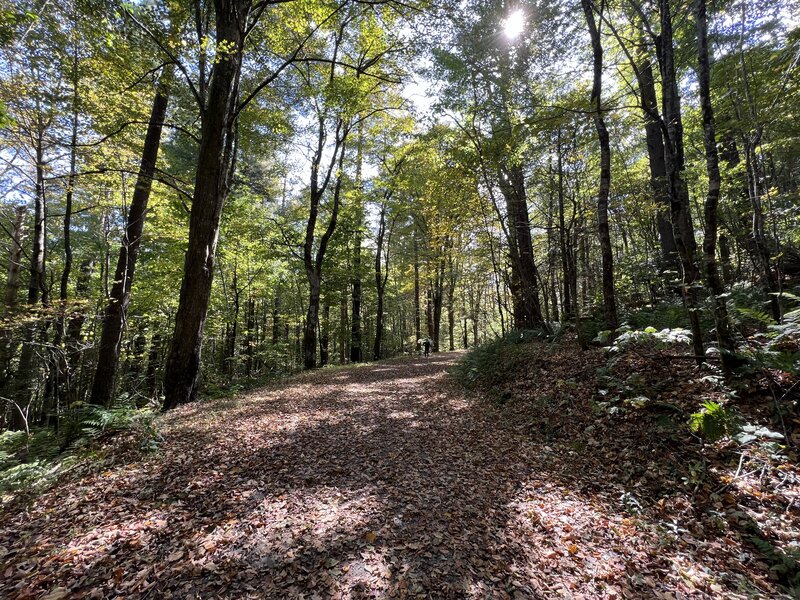 Flat trail conditions