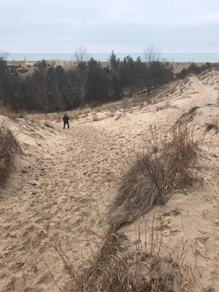 Great view out over Lake Michigan where the trail breaks out of the trees.