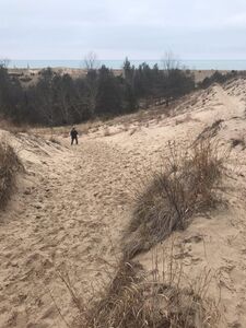 Great view out over Lake Michigan where the trail breaks out of the trees.