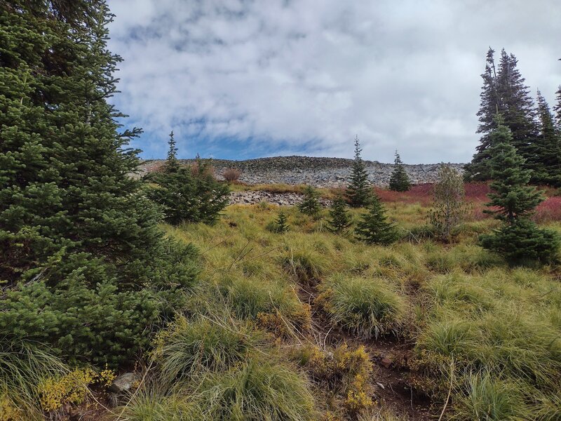 Looking up towards Mount Pend Oreille's summit from the trail not far below it.