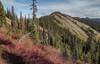 Nearby, imposing unnamed peak along the ridge to the north. The trail skirts around the west/left side of its summit.