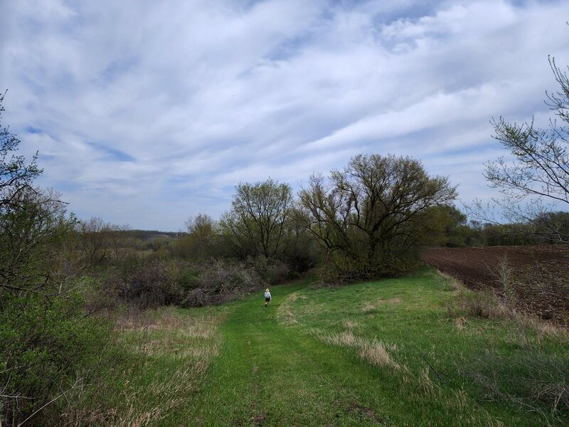 On the Wetland Loop Trail