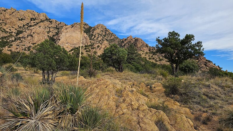 Near the trailhead