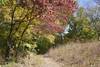 The trail is dirt as it makes its way along the lake. In the fall, the leaves change into beautiful reds, yellows, and oranges.