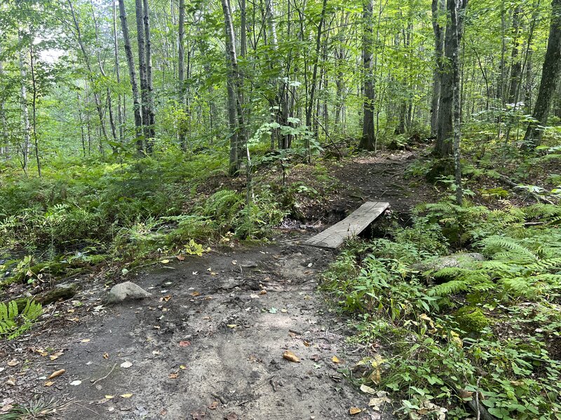 At this point in the trail, if it has been raining recently the trail will be really muddy. There are a couple of wooden walkways to help you traverse the mud and creek crossings.