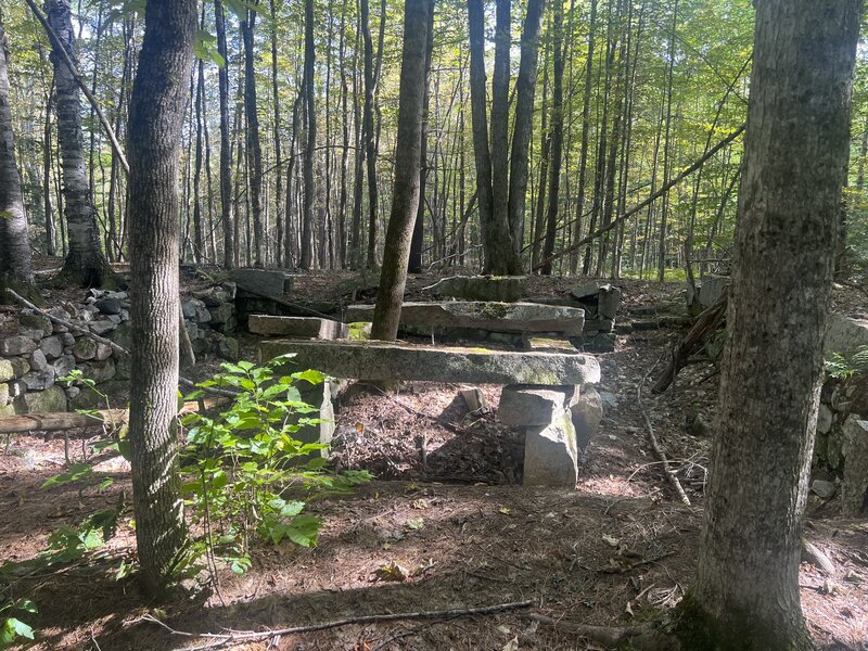 The foundations of an old home site sit on the right hand side of the trail as you enter the woods.