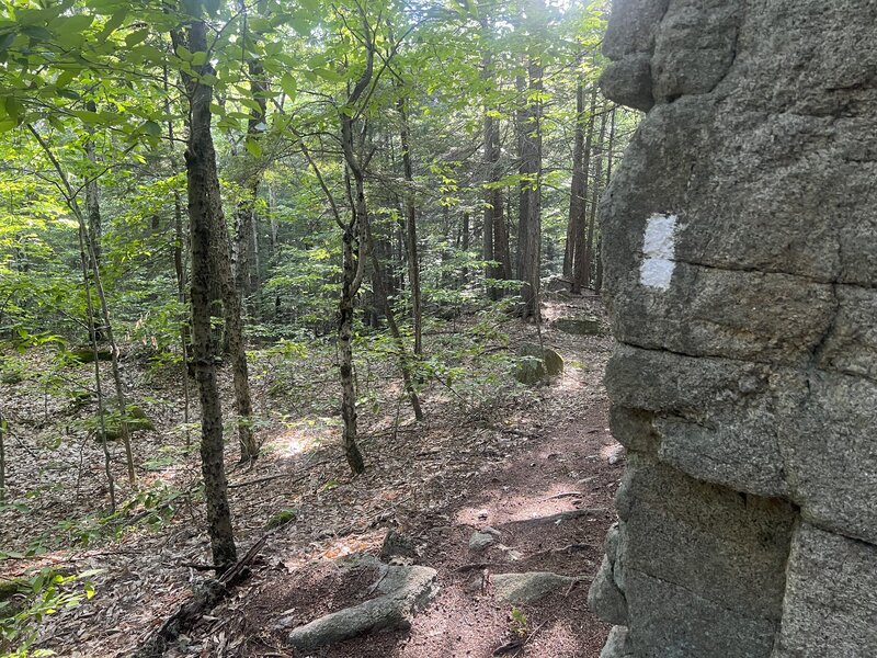 The trail is marked by white blazes on the rocks as it follows the ledges.