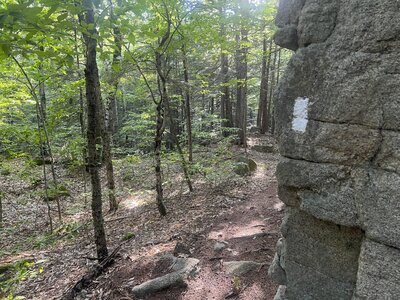 The trail is marked by white blazes on the rocks as it follows the ledges.