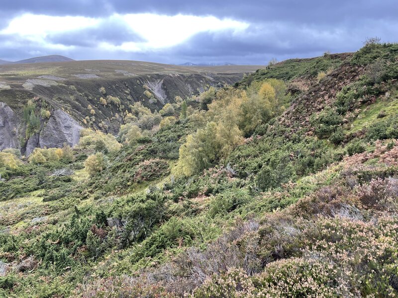 Gorge at Water of Ailnack as viewed from the Highland Moor.