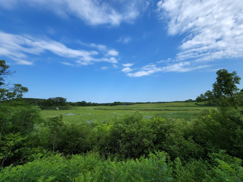 Lundtsen Lake from the King Waterfowl Sanctuary viewpoint.