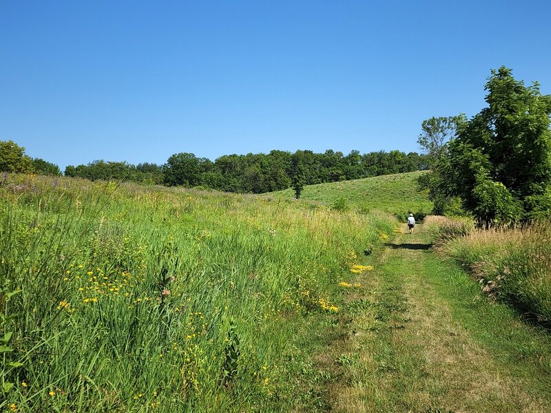 Going north toward Lake 2