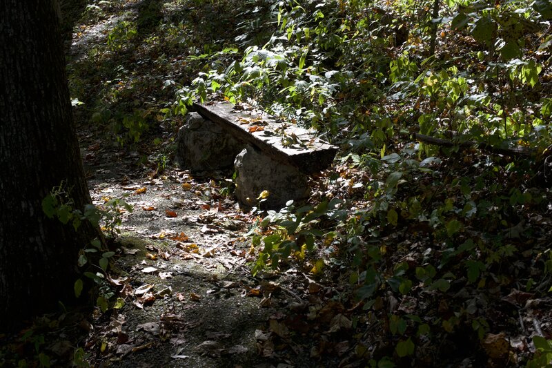 There are several benches along the trail that offer you the chance to rest and enjoy the views of the forest.